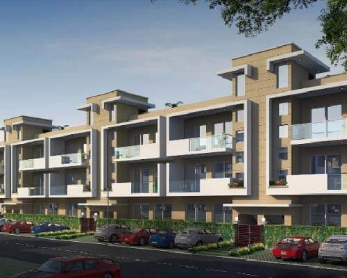 Central Park Flamingo Floors